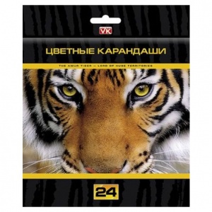 590x590_035881_10000