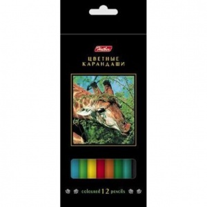 590x590_008125_10000