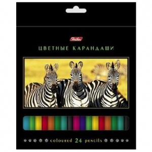 590x590_008164_10000