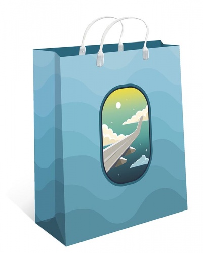 0428.409 Пакет пластиковый Medium