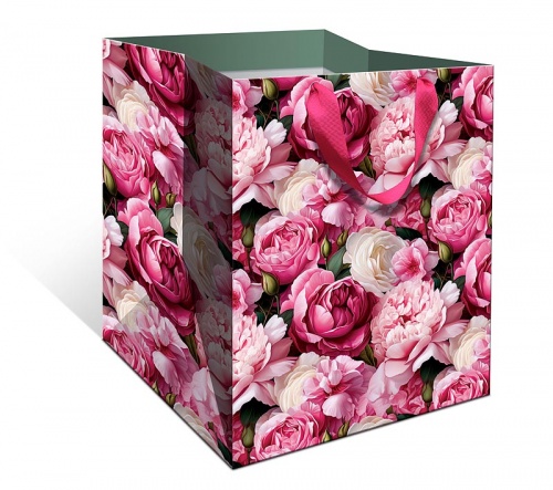 1324.821 Пакет бумажный стандарт плюс BA