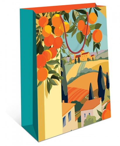 0193.413	Пакет подарочный