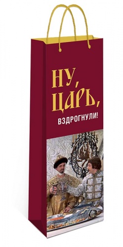 0194.397 Пакет подарочный ST  