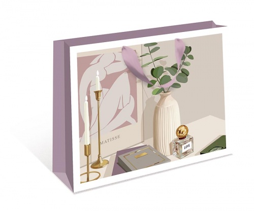 1322.793 Пакет бумажный стандарт плюс BB 