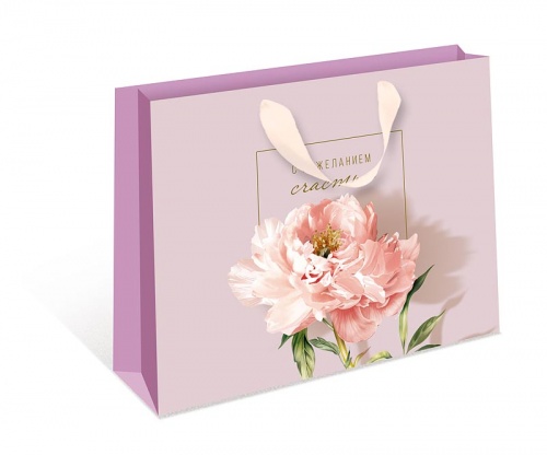 1320.792 Пакет бумажный стандарт плюс CB