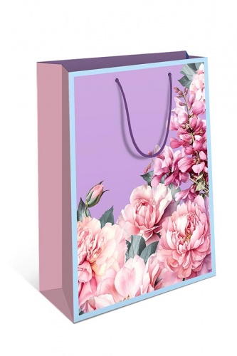 0195.375	Пакет подарочный