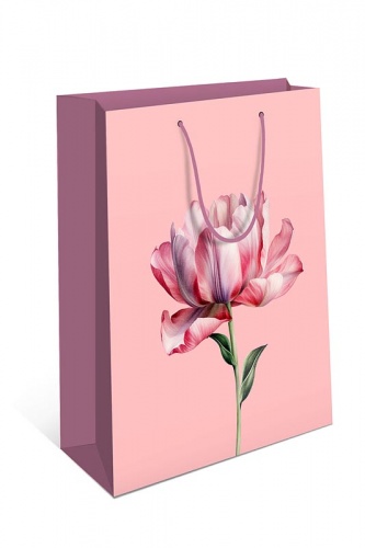 0193.373.	пакет подарочный