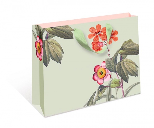 1322.780 Пакет бумажный стандарт плюс BB 