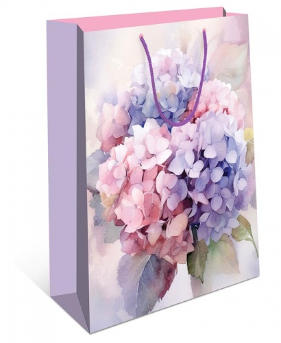 0195.382	Пакет подарочный