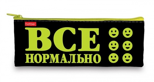 NPk_22106 Пенал Hatber 195х75 мм на молнии мягкий -Всё нормально!-