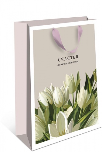 1314.776. Пакет бумажный стандарт плюс DE