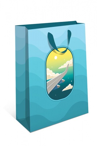 1312.783.	пакет бумажный стандарт плюс 