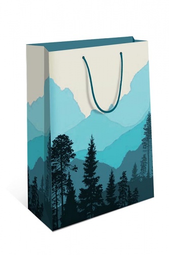 0192.239	Пакет подарочный