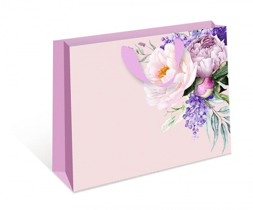 1322.707 Пакет бумажный стандарт плюс BB 