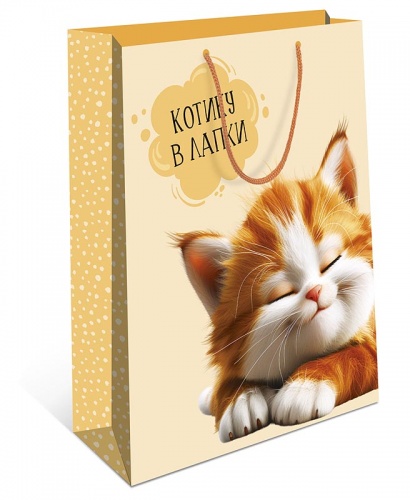 0195.420	Пакет подарочный