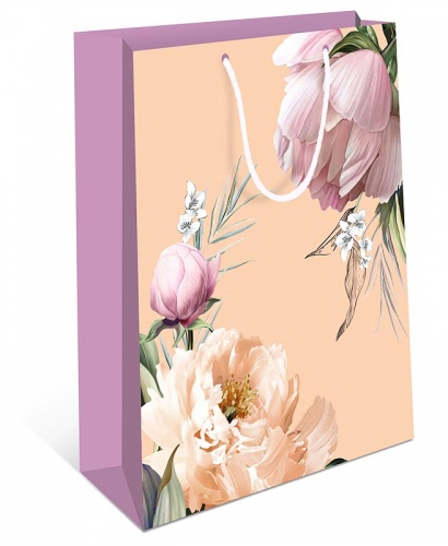 0195.249	Пакет подарочный