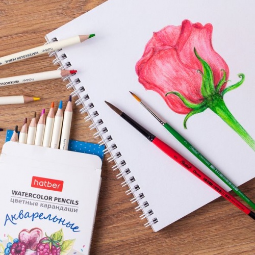 CS_063851 Карандаши цветные Hatber Акварельные круглый корпус 12 цв. с заточ. в карт.короб. с европ.